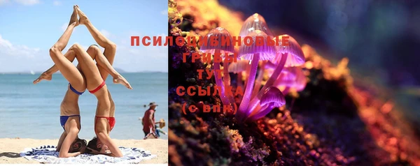 скорость Алзамай